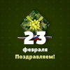 С праздником 23 февраля
